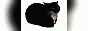 maxwell-kocykvr.gif