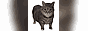 oia-uia.gif