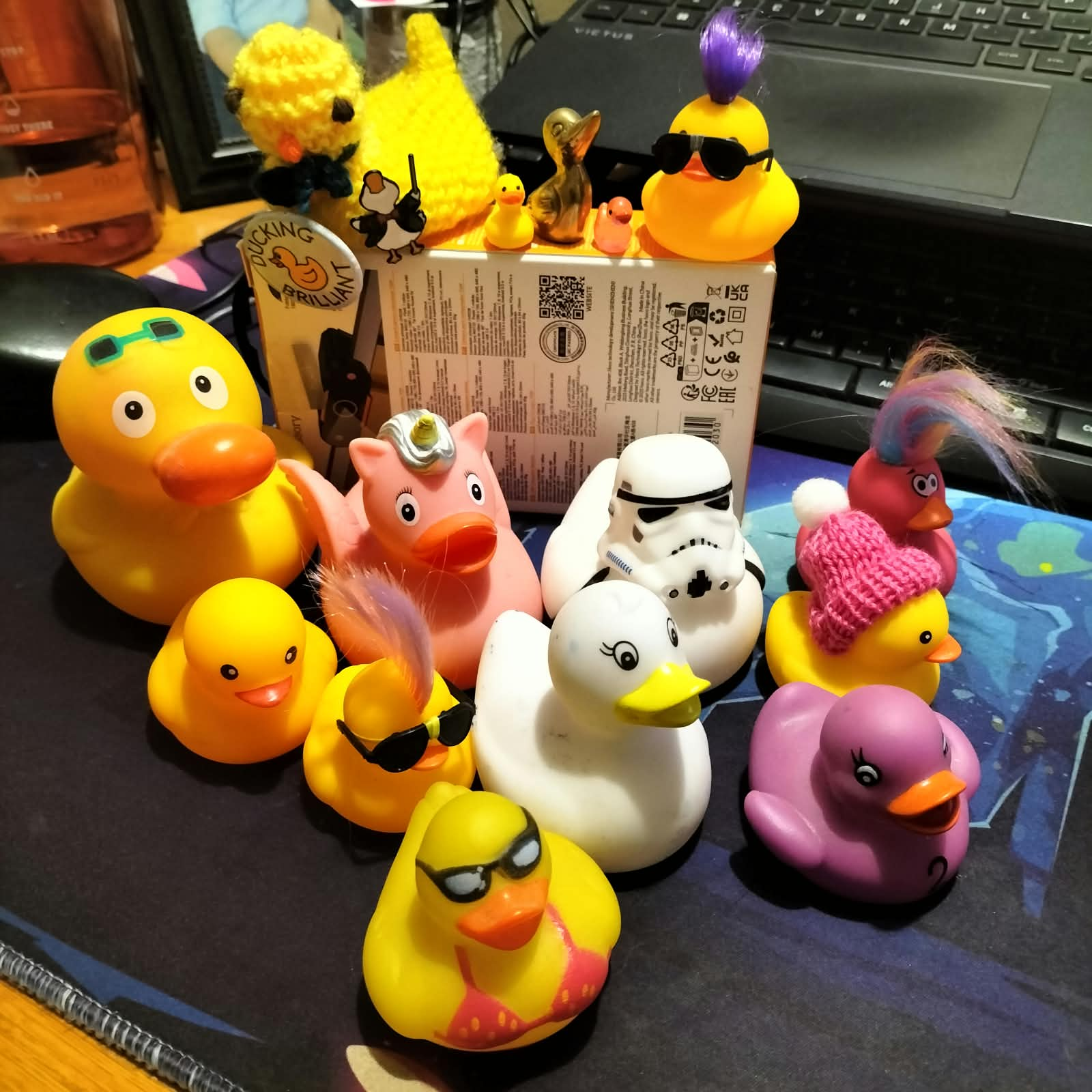 20260909-all-ducks.png